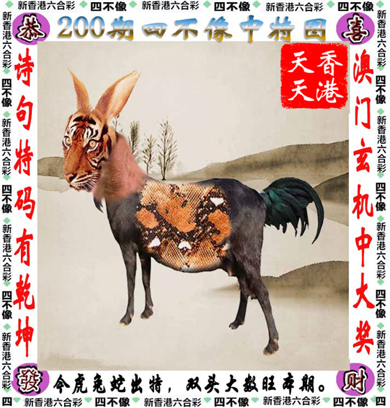 图片资料正在更新中……
